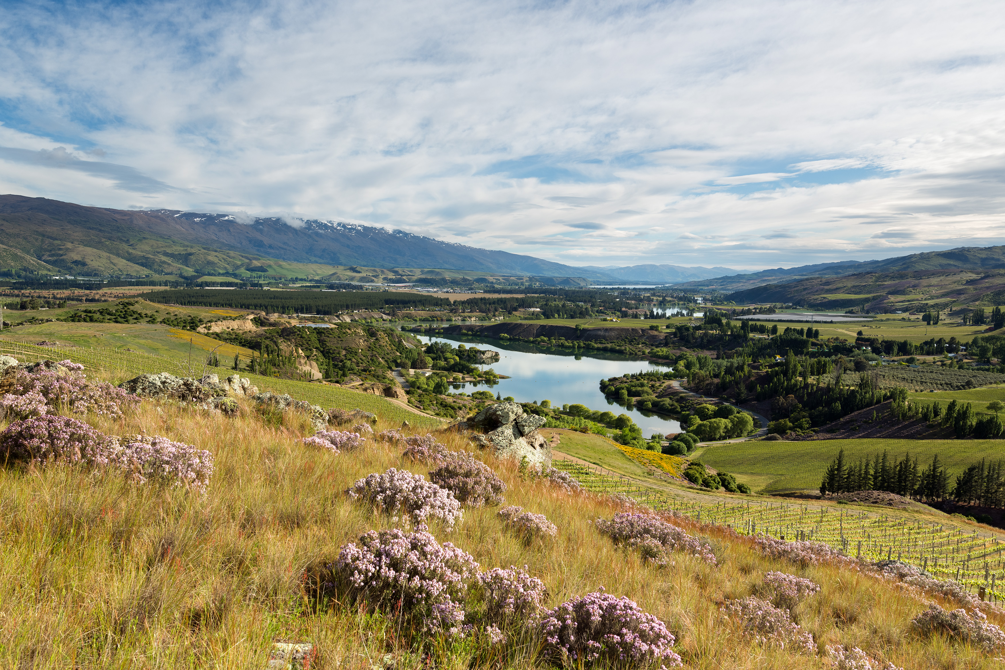 Mt Difficulty Cromwell Basin